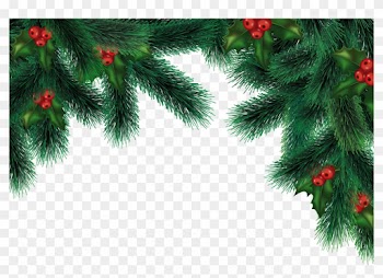 Abstract Colorful Xmas Tree On White Background Vector - Christmas Tree Psd