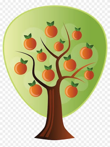 Abstract Crops Orange Tree 1969px 306 - Orange Tree Vector Png