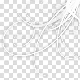 Abstract divider, white waves transparent background PNG clipart