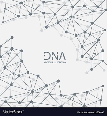 Abstract dna strand symbol isolated on white vector image