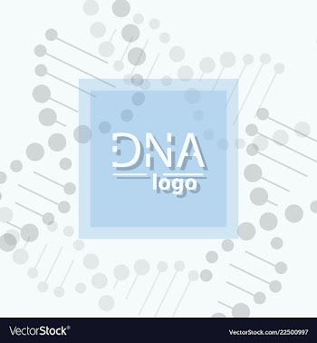 Abstract dna strand symbol isolated on white vector image