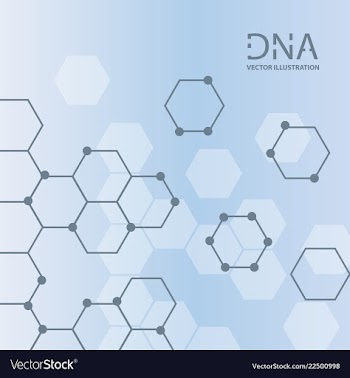 Abstract dna strand symbol isolated on white vector image