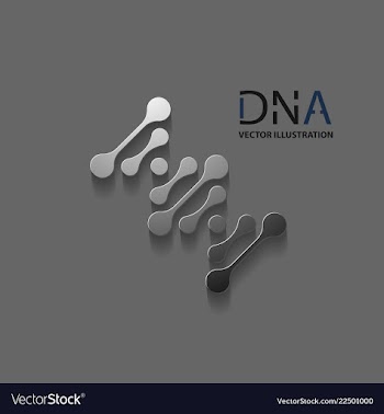 Abstract dna strand symbol isolated on white vector image