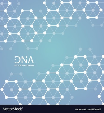 Abstract dna strand symbol isolated on white vector image