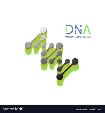 Abstract dna strand symbol isolated on white vector image
