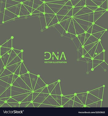 Abstract dna strand symbol isolated on white vector image