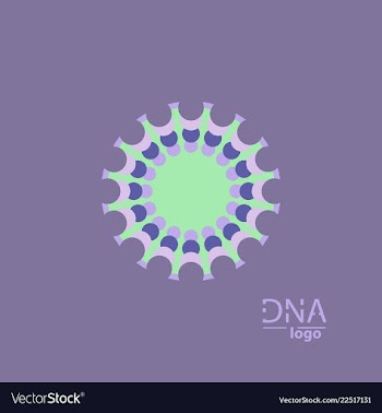 Abstract dna strand symbol isolated on white vector image