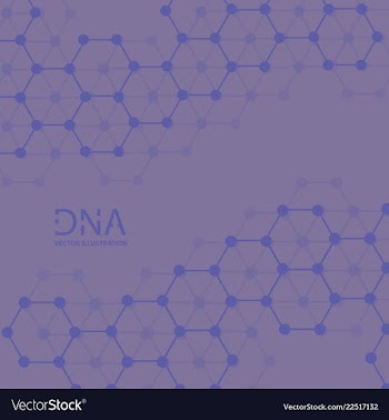 Abstract dna strand symbol isolated on white vector image