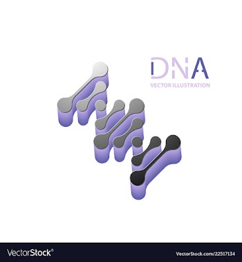 Abstract dna strand symbol isolated on white vector image