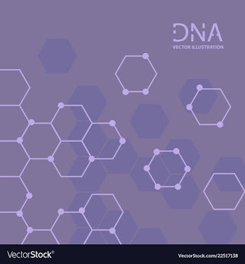 Abstract dna strand symbol isolated on white vector image