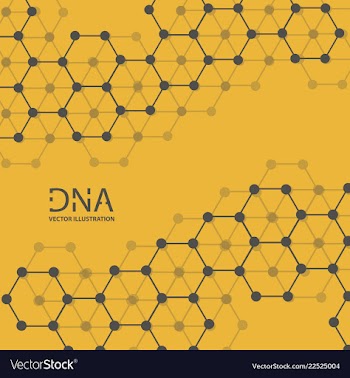 Abstract dna strand symbol isolated on white vector image