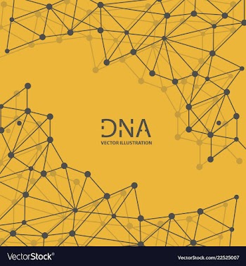 Abstract dna strand symbol isolated on white vector image