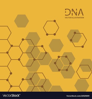 Abstract dna strand symbol isolated on white vector image