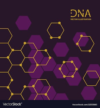 Abstract dna strand symbol isolated on white vector image