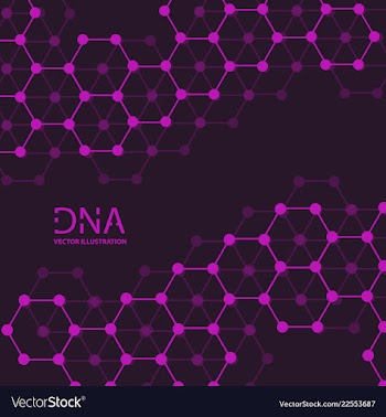 Abstract dna strand symbol isolated on white vector image