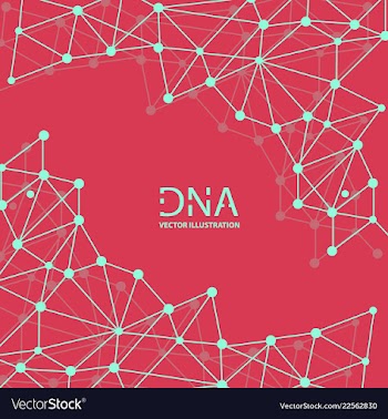 Abstract dna strand symbol isolated on white vector image
