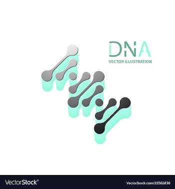 Abstract dna strand symbol isolated on white vector image