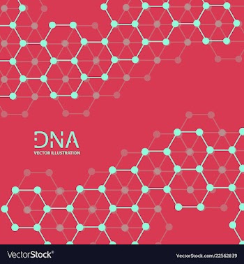 Abstract dna strand symbol isolated on white vector image