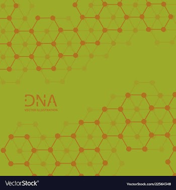 Abstract dna strand symbol isolated on white vector image
