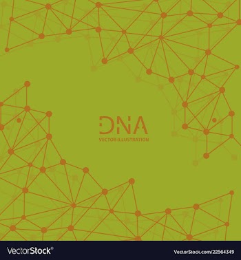 Abstract dna strand symbol isolated on white vector image