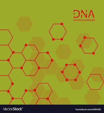 Abstract dna strand symbol isolated on white vector image