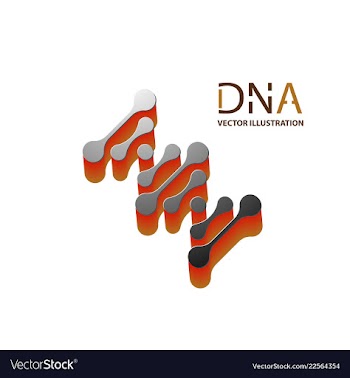 Abstract dna strand symbol isolated on white vector image
