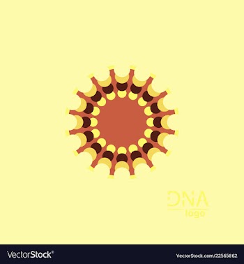 Abstract dna strand symbol isolated on white vector image