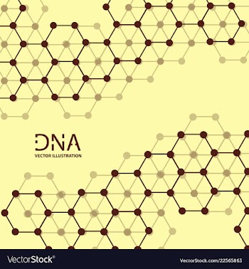 Abstract dna strand symbol isolated on white vector image