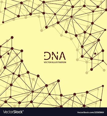 Abstract dna strand symbol isolated on white vector image