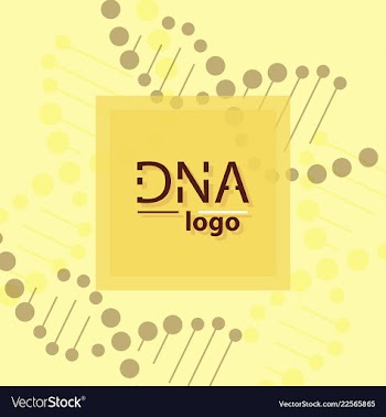 Abstract dna strand symbol isolated on white vector image