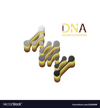 Abstract dna strand symbol isolated on white vector image