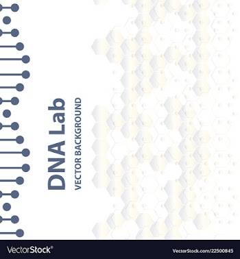 Abstract dna structure medical science background vector image