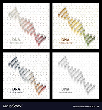 Abstract dna structure medical science background vector image