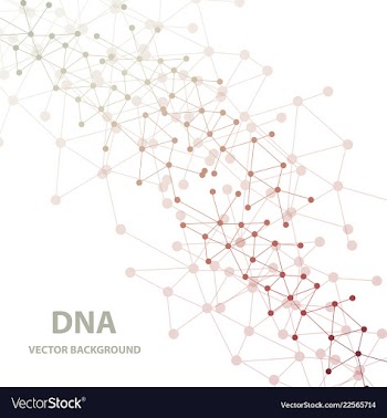 Abstract dna structure medical science background vector image