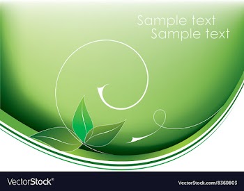 Abstract Floral Background vector image