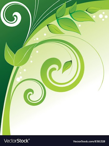 Abstract Floral Background vector image