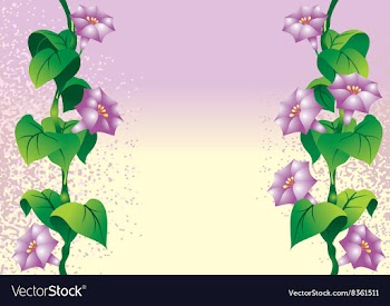 Abstract Floral Background vector image