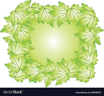 Abstract floral vector image