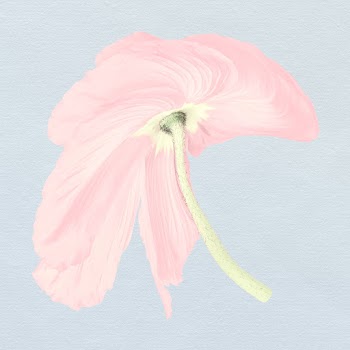 Abstract flower element, psychedelic pink… | Free stock illustration | High Resolution graphic