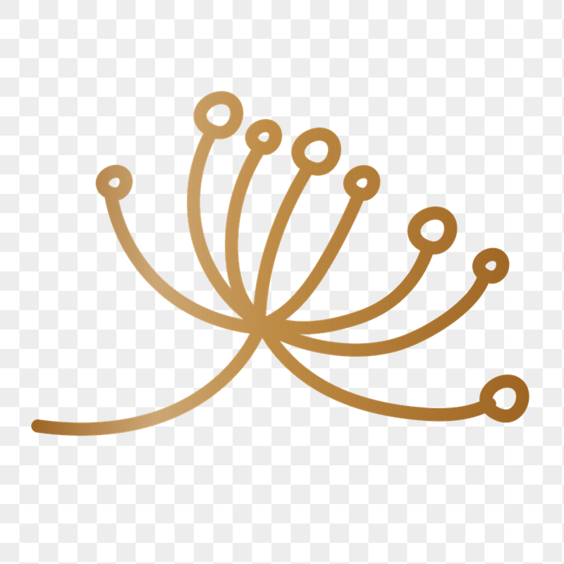 Abstract flower png doodle sticker, | Free PNG - rawpixel