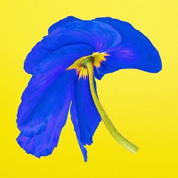 Abstract flower PSD sticker, psychedelic blue… | Free stock illustration | High Resolution graphic