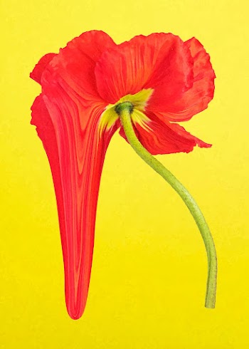 Abstract flower sticker vector, psychedelic… | Free stock illustration | High Resolution graphic