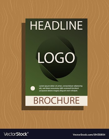 Abstract flyer design background brochure template vector image
