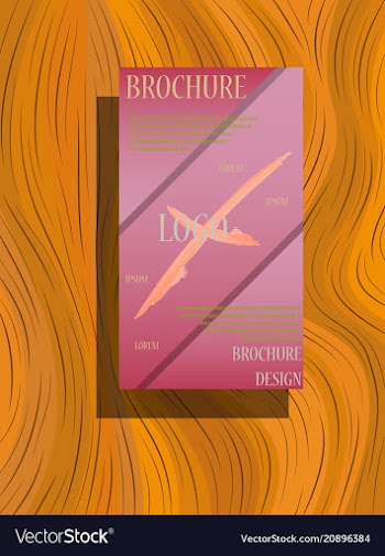 Abstract flyer design background brochure template vector image