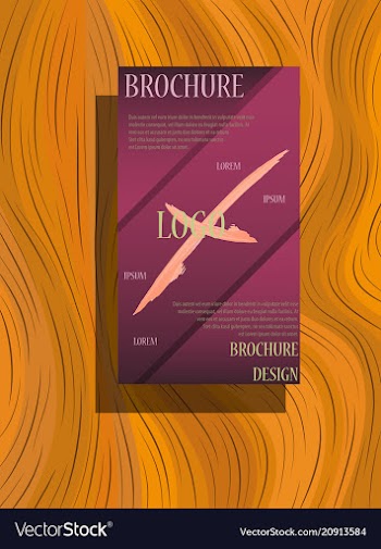 Abstract flyer design background brochure template vector image