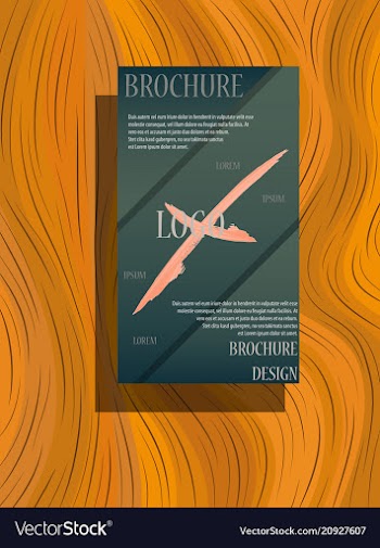 Abstract flyer design background brochure template vector image