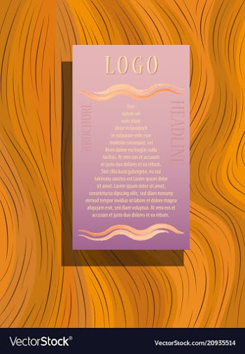 Abstract flyer design background brochure template vector image