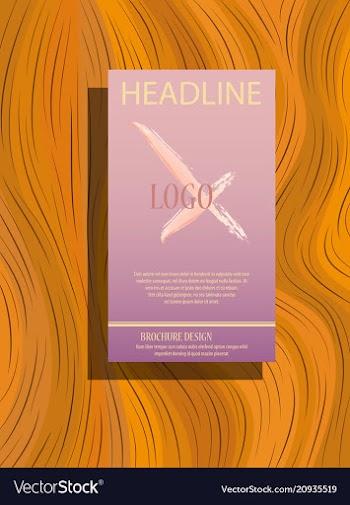 Abstract flyer design background brochure template vector image