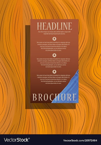 Abstract flyer design background brochure template vector image
