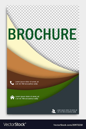 Abstract flyer design background brochure vector image